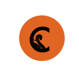 Logo www.canivilobeats.com